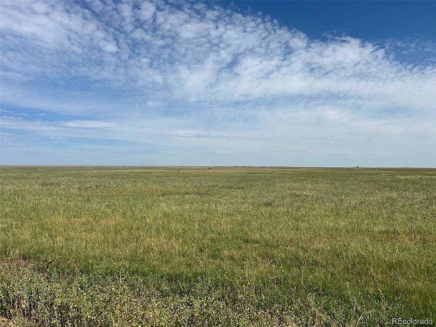0 2a-5 unit REC9844697, Ramah, CO 80832 - photo 1
