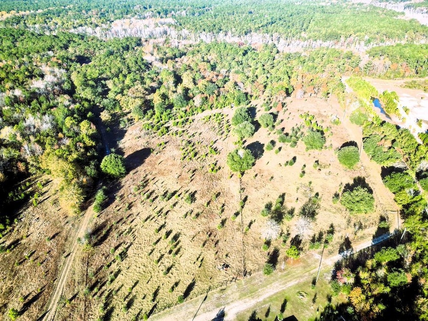 Virginia Rd unit LotWP001, Dorchester, SC 29437 - photo 1