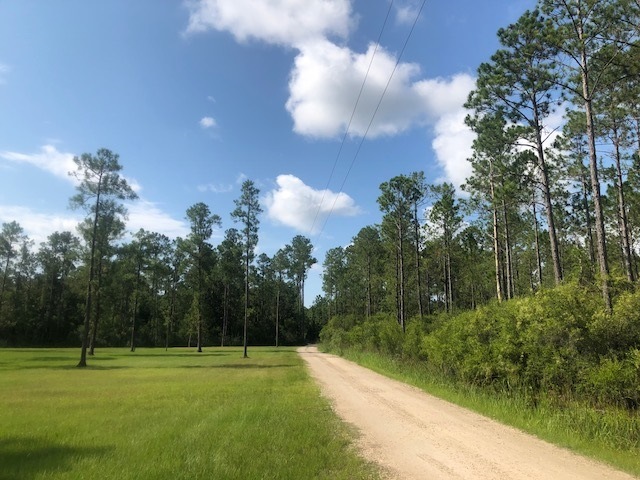 0 Whippoorwill Ln unit 295772, Crawfordville, FL 32327 - photo 1