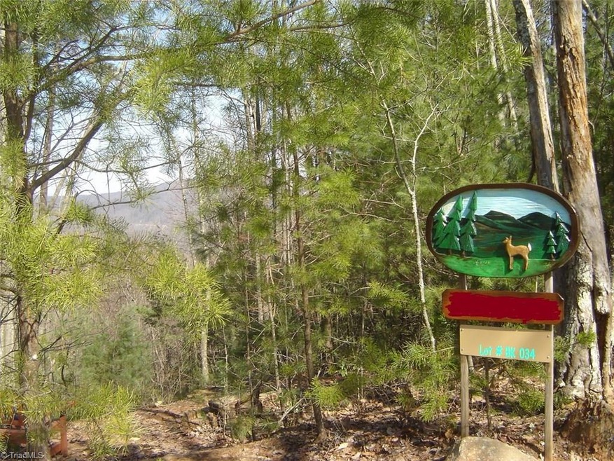 Carousel Image