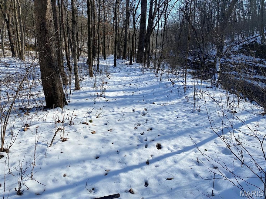 29507 Pinnacle Lake Rd, New Florence, MO 63363 - photo 1