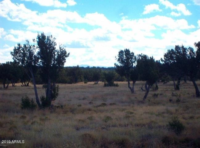 SNYDER LAND PHOTO 1