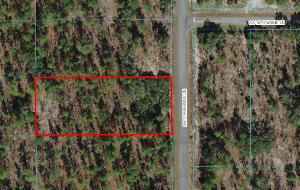 Lot 12 SW Persimmon Ln, Dunnellon, FL 34431 - photo 1
