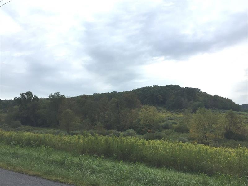 1168 Martin Road,  Indiana