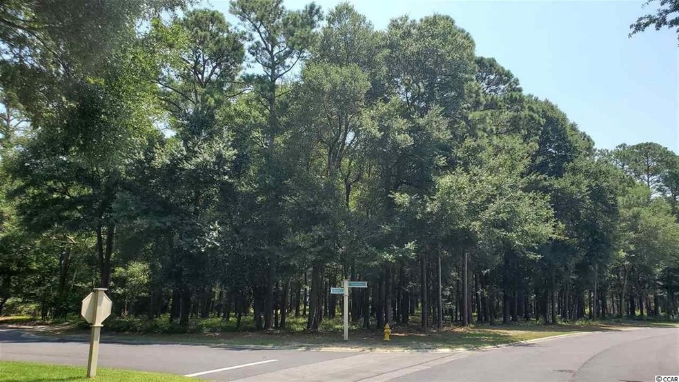 TBD Brantly Ct unit Lot 737, North Myrtle Beach, SC 29582 - photo 1