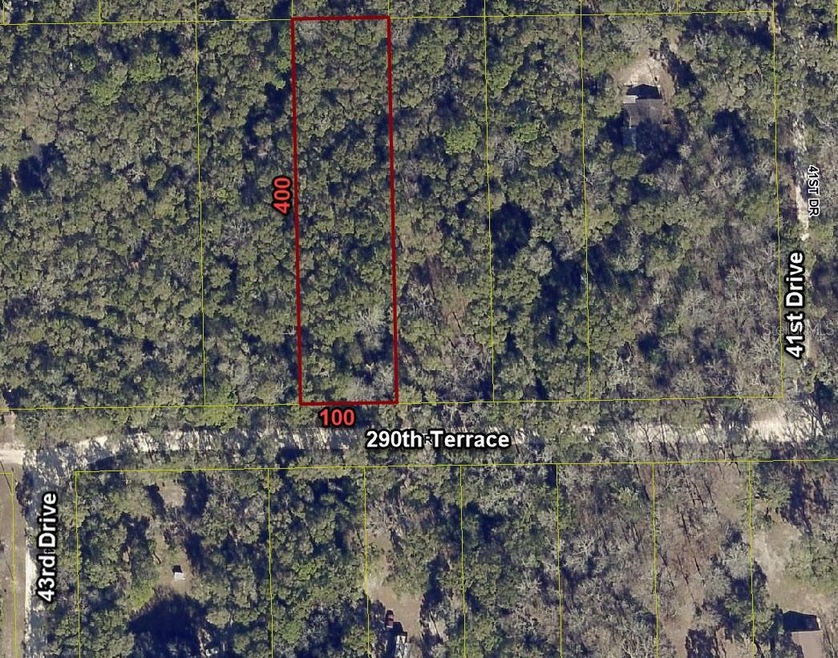 4301 290th Terrace, Branford, FL 32008 - photo 1