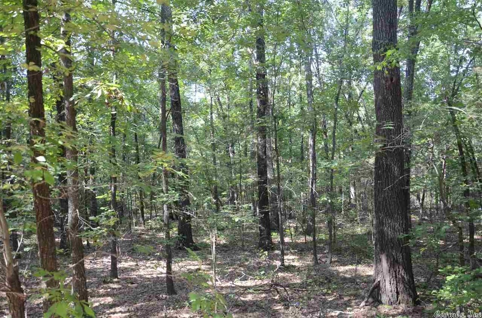 0 Spring Heights, Heber Springs, AR 72543 - photo 1