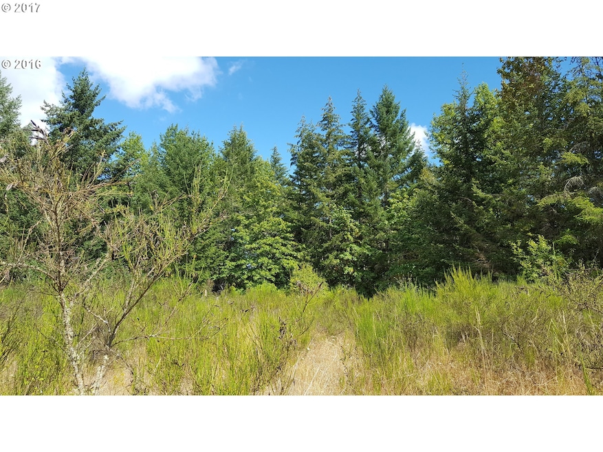 0 Mill Creek Rd unit 17426328, Sheridan, OR 97378 - photo 1