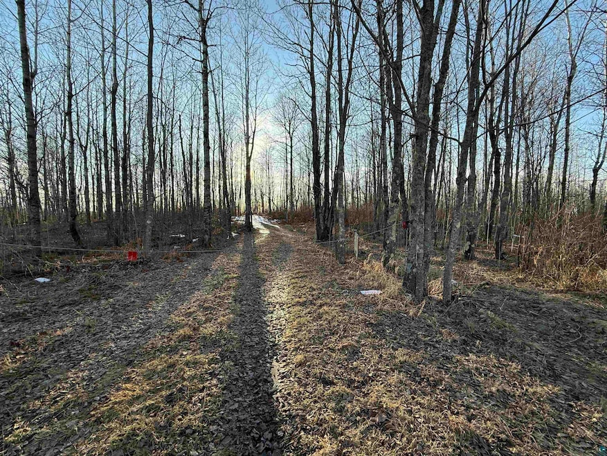 View of road featuring a wooded view
