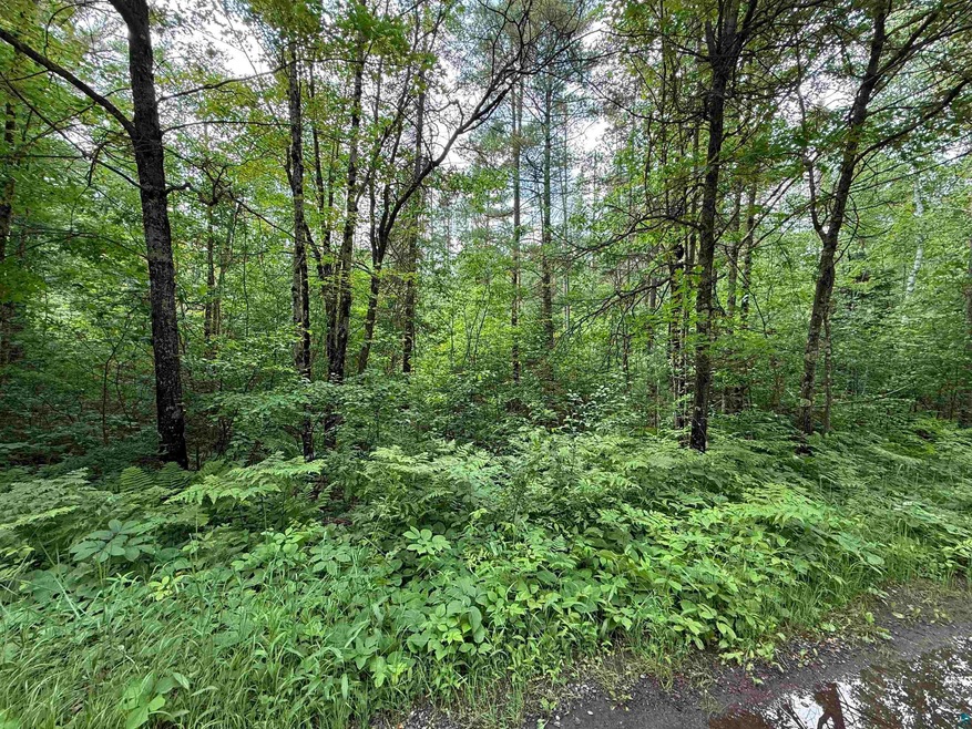 0000 Pokegama Dr, Lac Du Flambeau, WI 54548 - photo 1