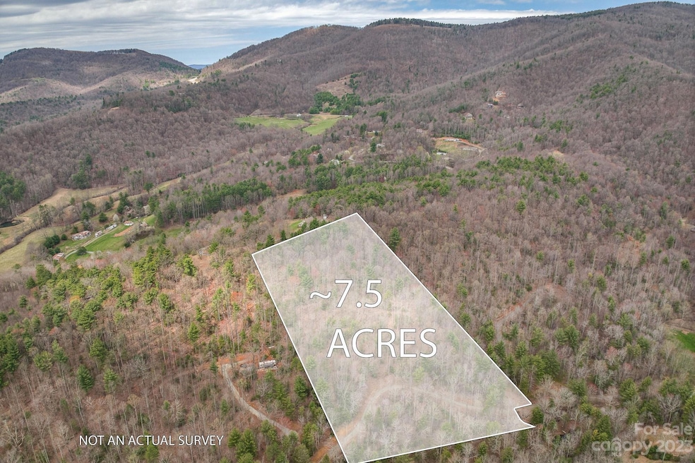 Lots 5 and 6 Doe Vly Ln  