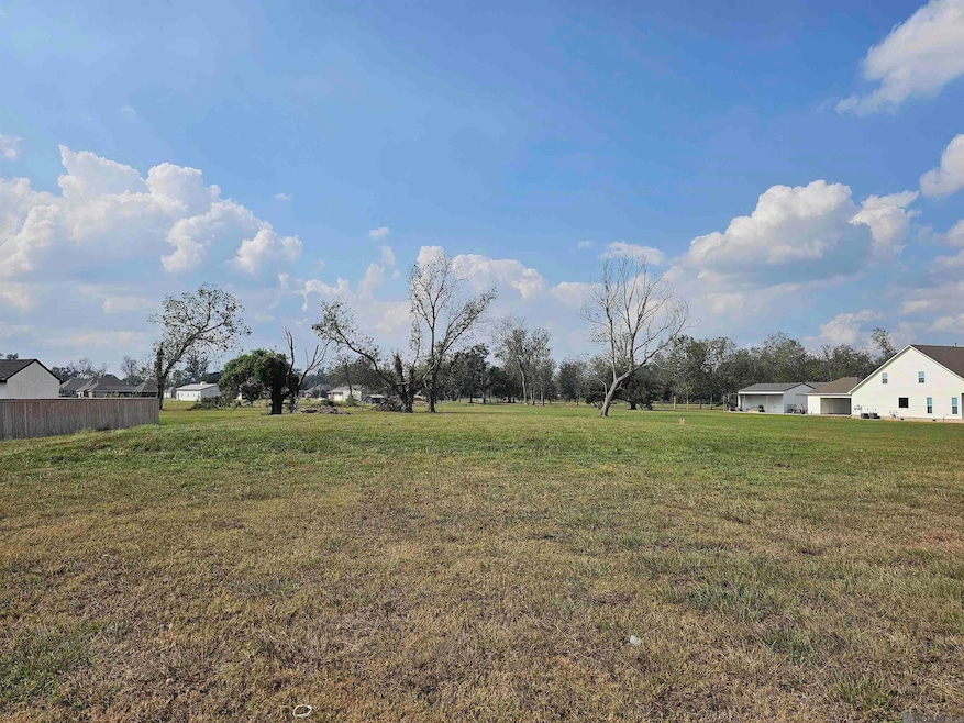 38552 Louisiana 942, Darrow, LA 70725 - photo 1