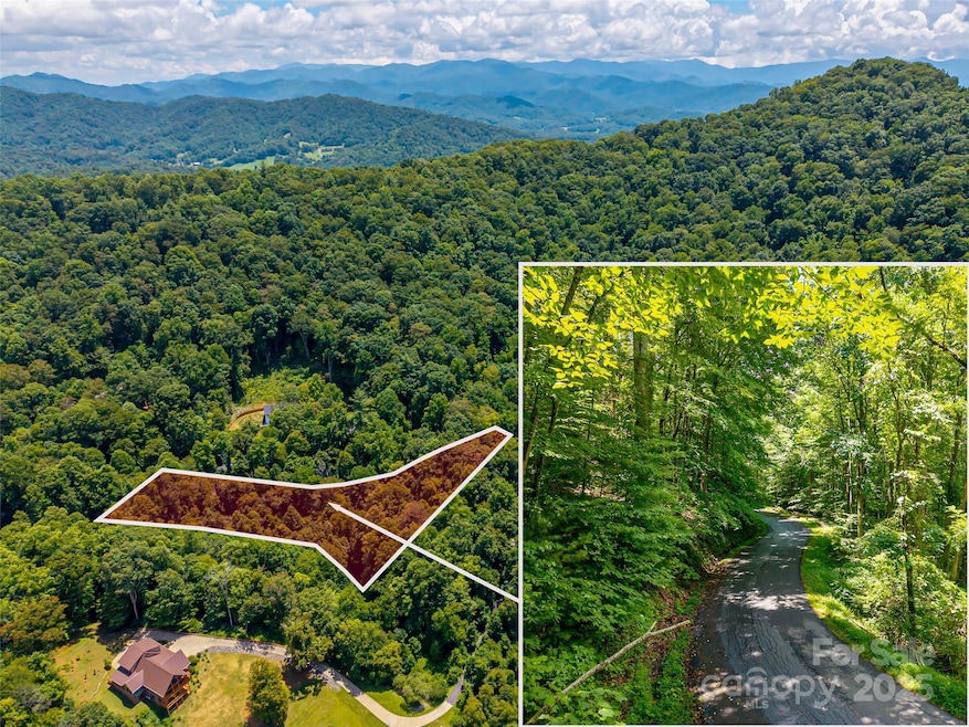 Aerial approximation of lot lines and location.