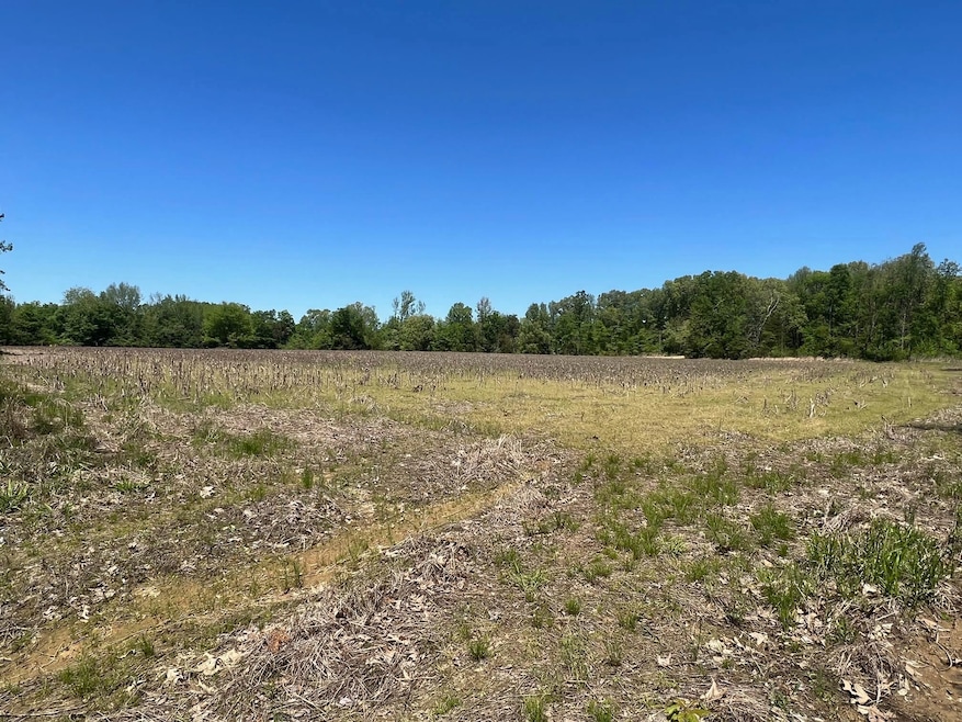27 ACRES Sycamore Rd, Collierville, TN 38017 - photo 1