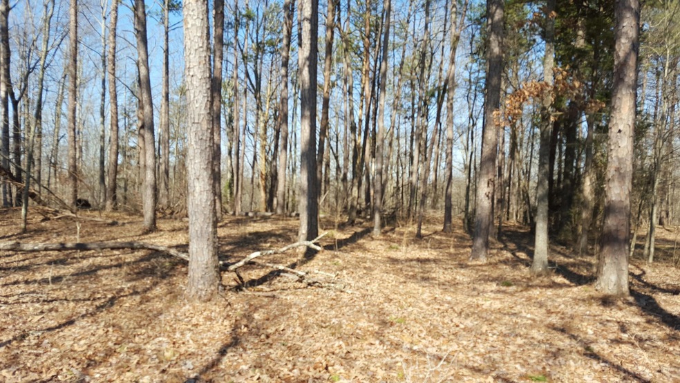 Chahyga Way Lot 13 - 2