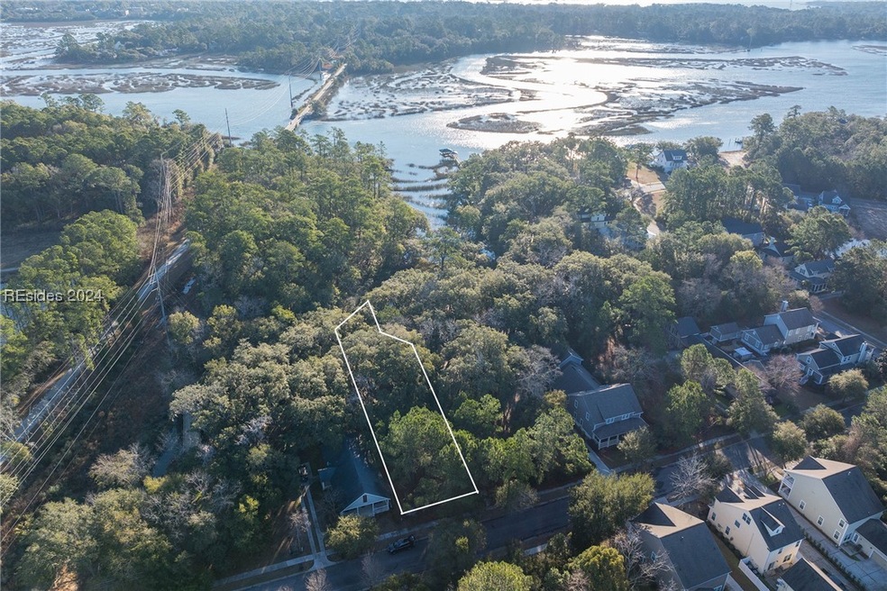 View of Spanish Moss Trail