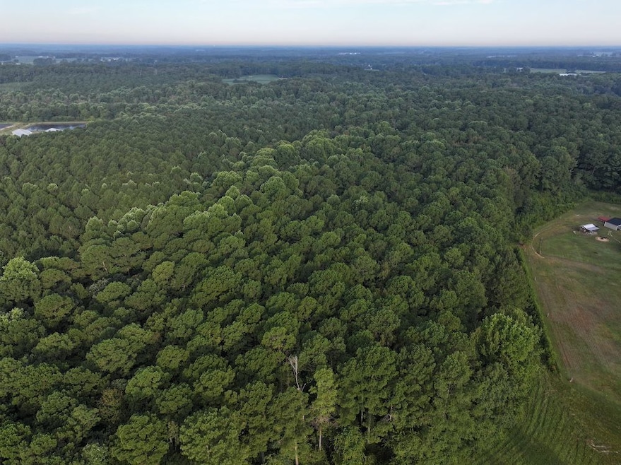 Shine Rd unit LotWP001, Snow Hill, NC 28580 - photo 1