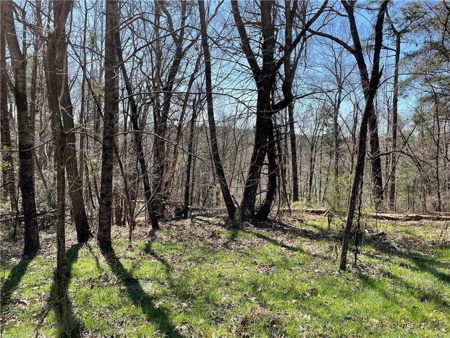 9 Old Driver Rd, Whitesburg, GA 30185 - photo 1