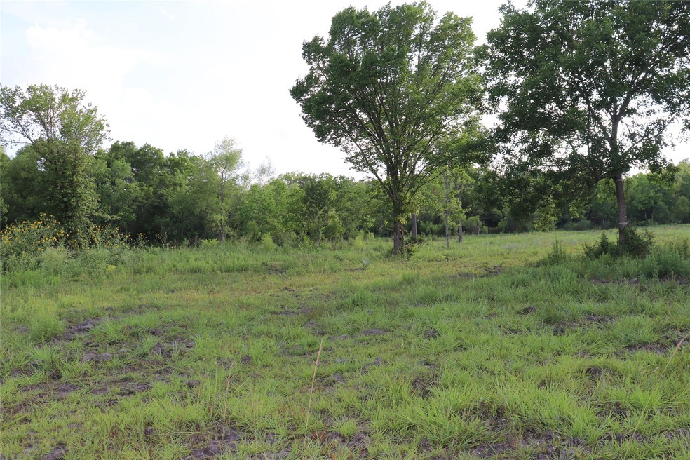 0 Massey Ranch Rd, Manvel, TX 77578 - photo 1
