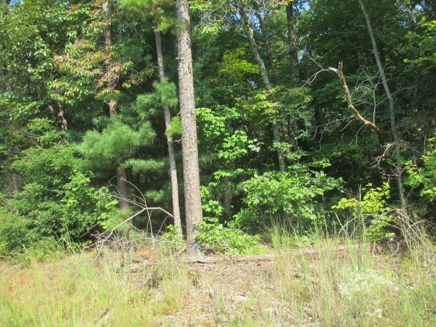 0000 W H 7, Tamassee, SC 29686 - photo 1