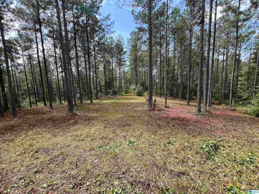 740 Sweet Apple Rd unit 1, Cropwell, AL 35054 - photo 1