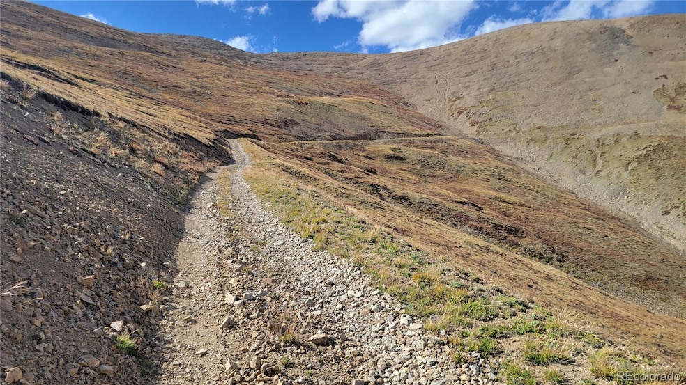 MS #17664- Last Rose Barry Lyndon Rory Omore - 66 66%, Alma, CO 80420 - photo 1