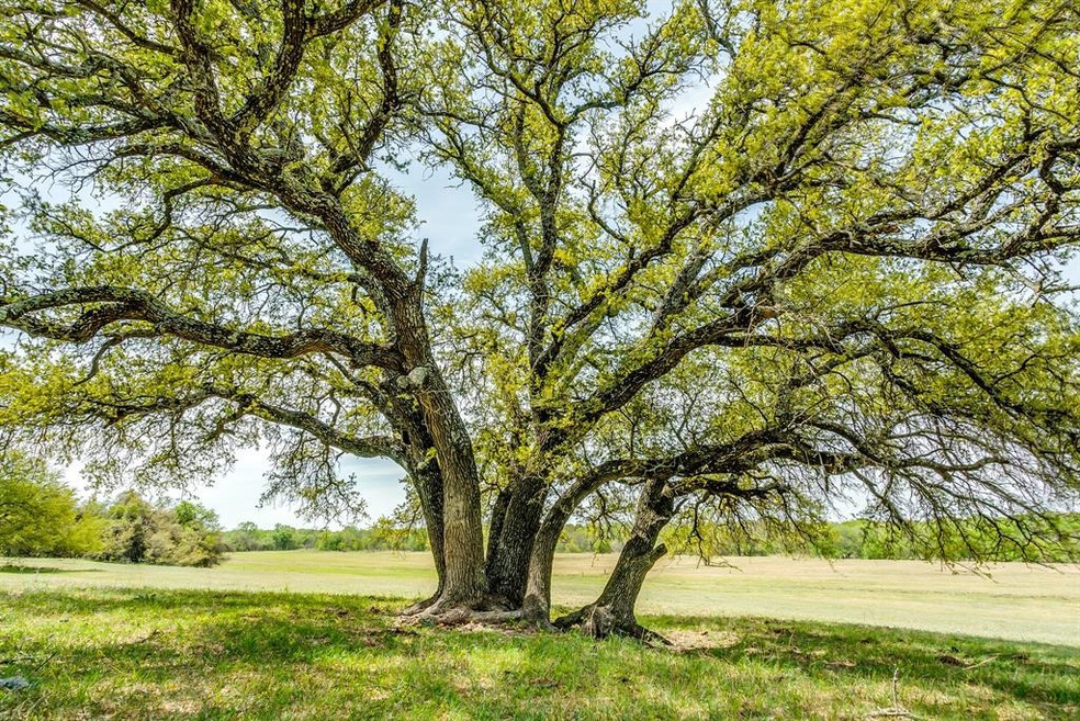 333 Murray Rd, Weatherford, TX 76082 - photo 1