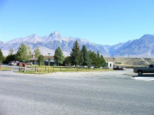 Main View