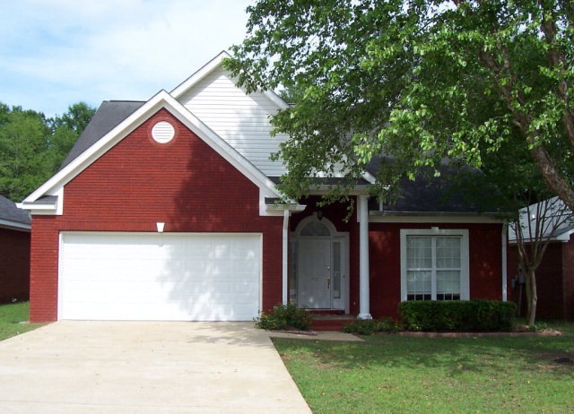 Main View
