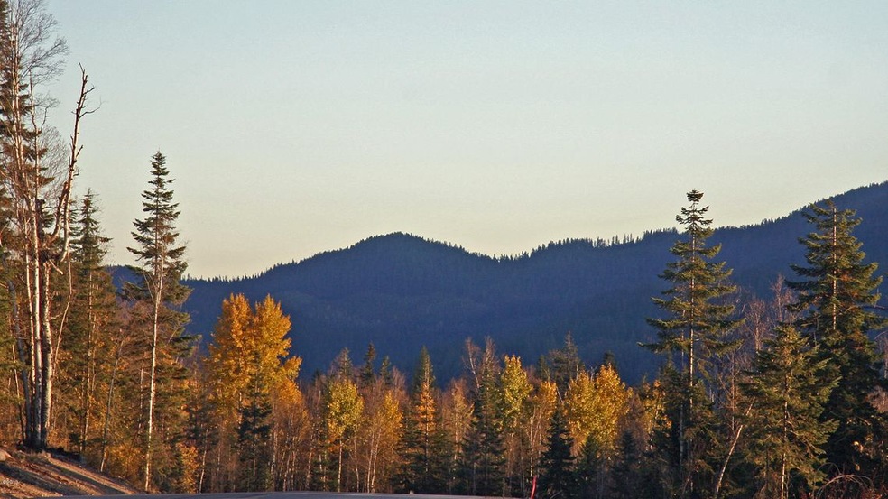 Photos 008