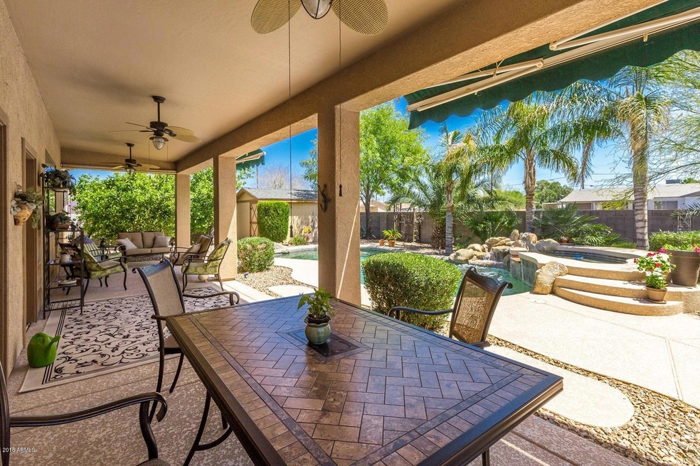 Backyard Oasis