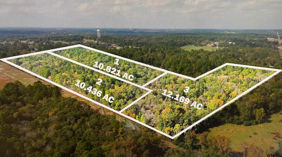 17278 N Highway 69, Tyler, TX 75703 - photo 1