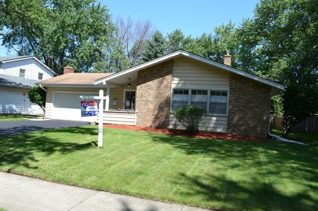 1516 Swallow St, Naperville, IL 60565 - photo 1