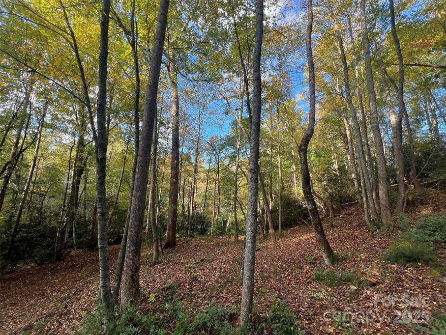 6 Dividing Ridge Trail unit 1, Arden, NC 28704 - photo 1