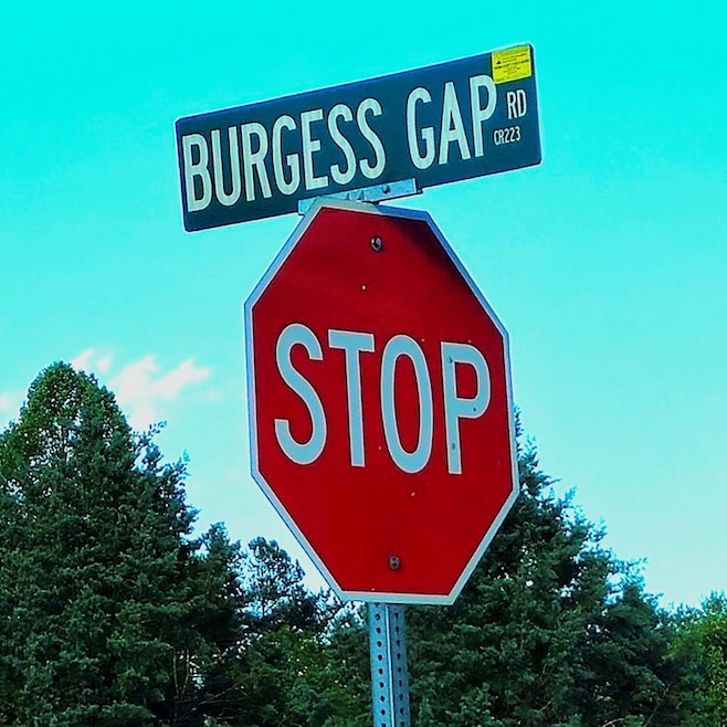 5.23acs Burgess Gap Rd, Morganton, GA 30560 - photo 1