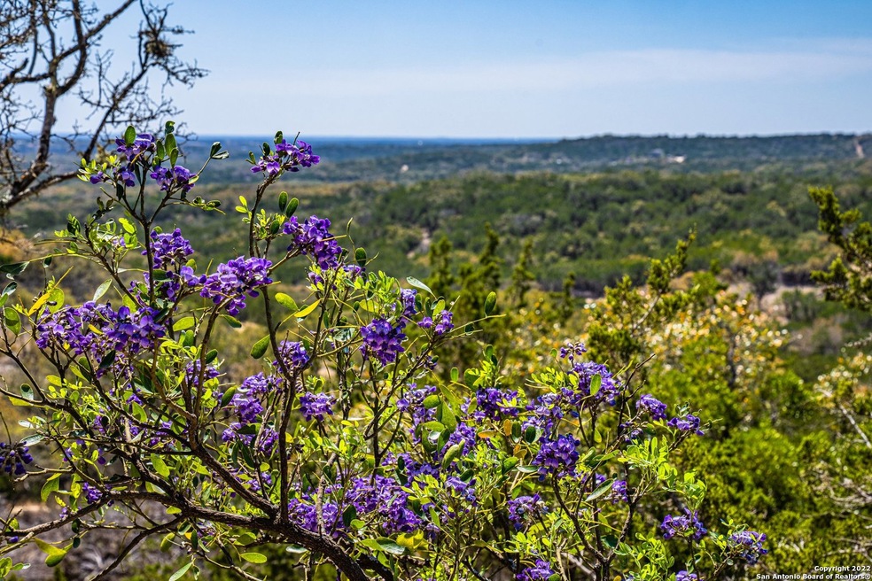 317 Private Road 2410, Hondo, TX 78861 - photo 1