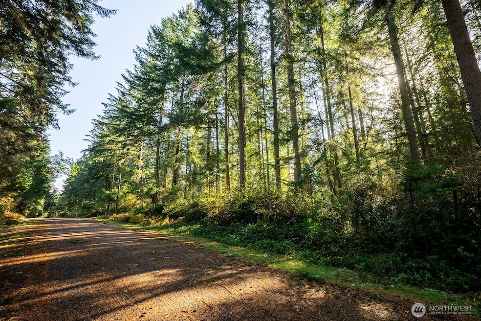 11324 Laurel Place, Anderson Island, WA 98303 - photo 1