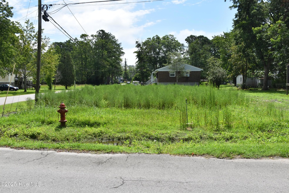 0 Latham Cedar unit 100518677, Belhaven, NC 27810 - photo 1