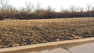 814 Springer Ave, Columbus Junction, IA 52738 - photo 1