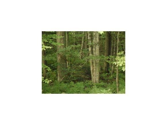 0 Bolton Valley Access Rd unit 4089271, Bolton, VT 05477 - photo 1