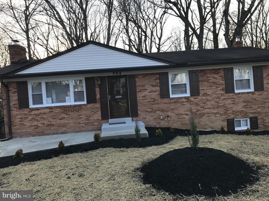 703 Quarry Ave, Capitol Heights, MD 20743 - photo 1
