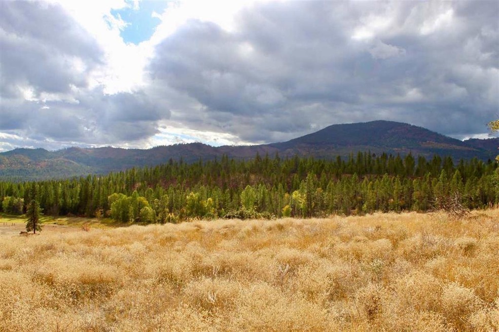 2034A Dry Creek Rd, Chewelah, WA 99109 - photo 1