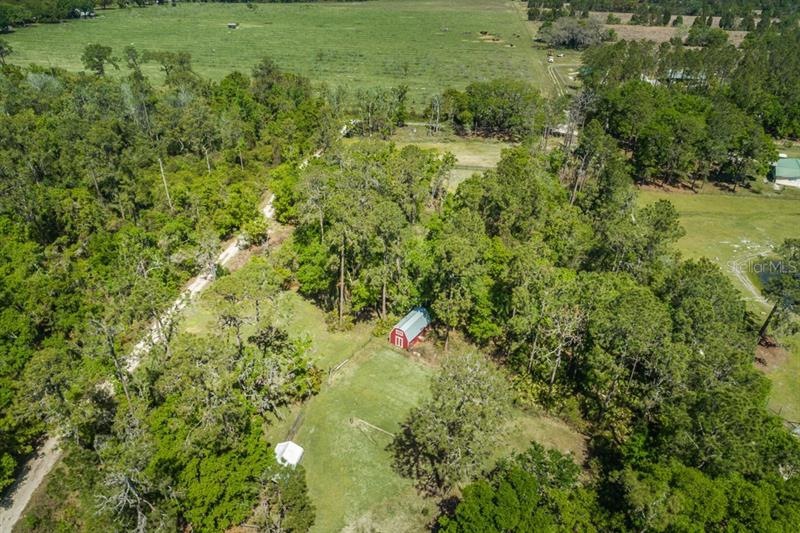 34704 Wright Ln, Wesley Chapel, FL 33545 - photo 1