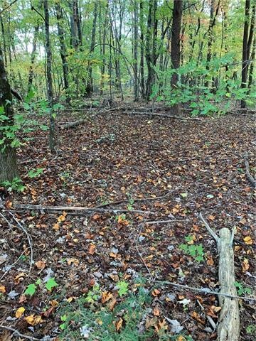 Level portion of the property to build home