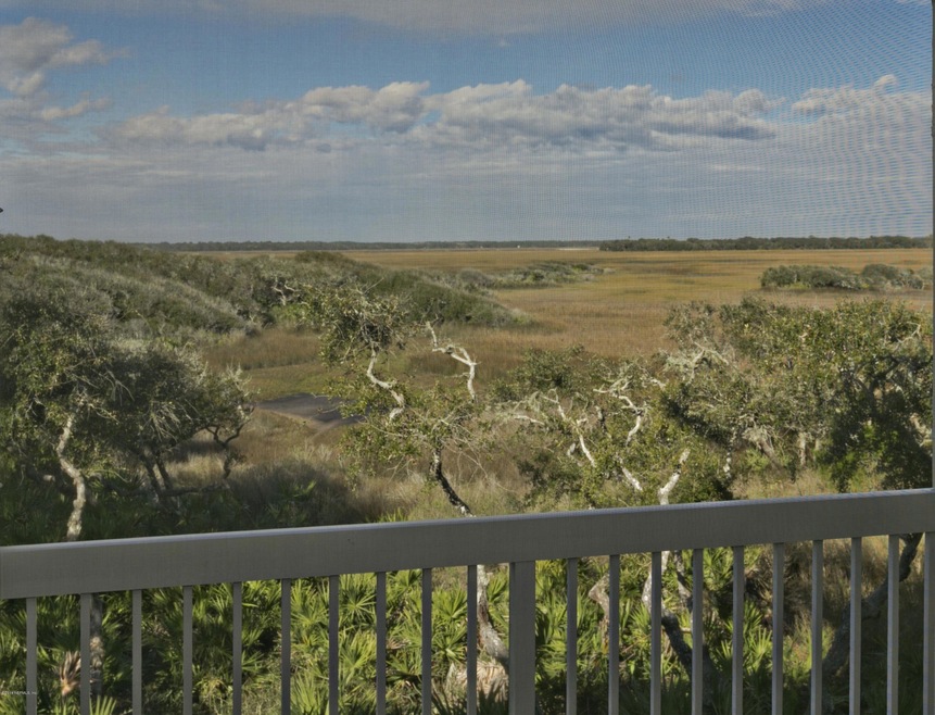 Lanai View