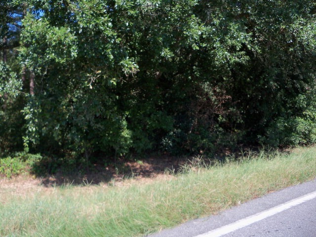0000 Hwy 374, Donalsonville, GA 39845 - photo 1