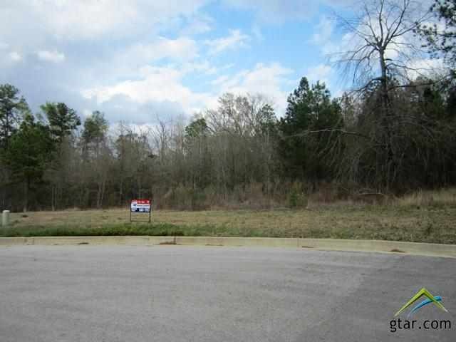 1417 Covewood Dr, Tyler, TX 75703 - photo 1