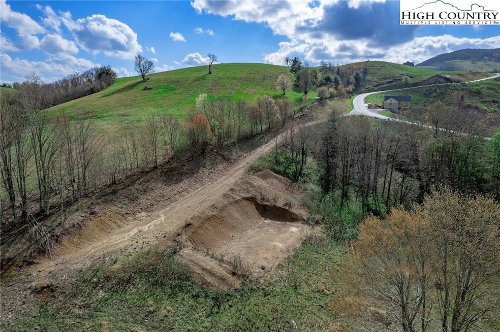 Pasture next to the driveway