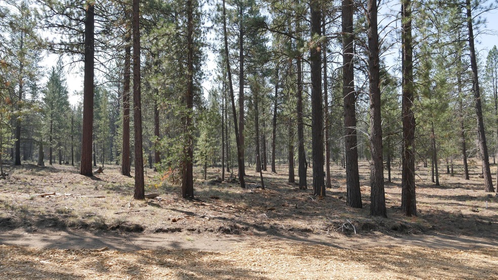 Front of homesite