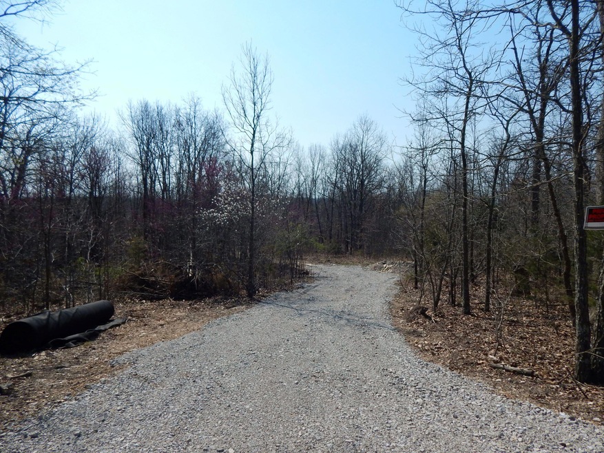 Drive into Property